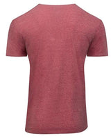Threadfast Apparel 102A Unisex Triblend Short-Sleeve T-Shirt #color_RED TRIBLEND